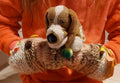 Dog Handwarmer